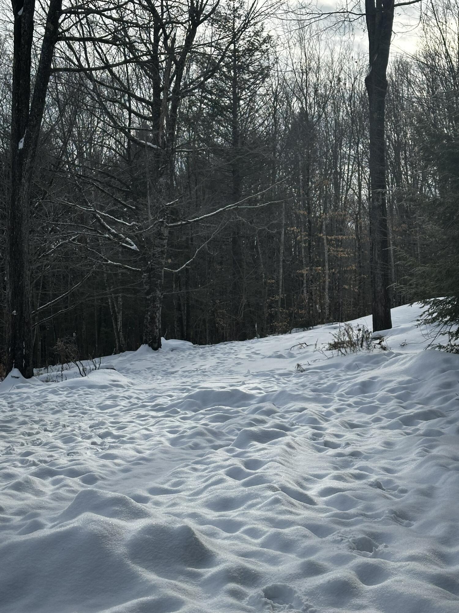 401 Burnham Road Bridgton, ME 04009 - Photo 9 of 34 IMG_5260