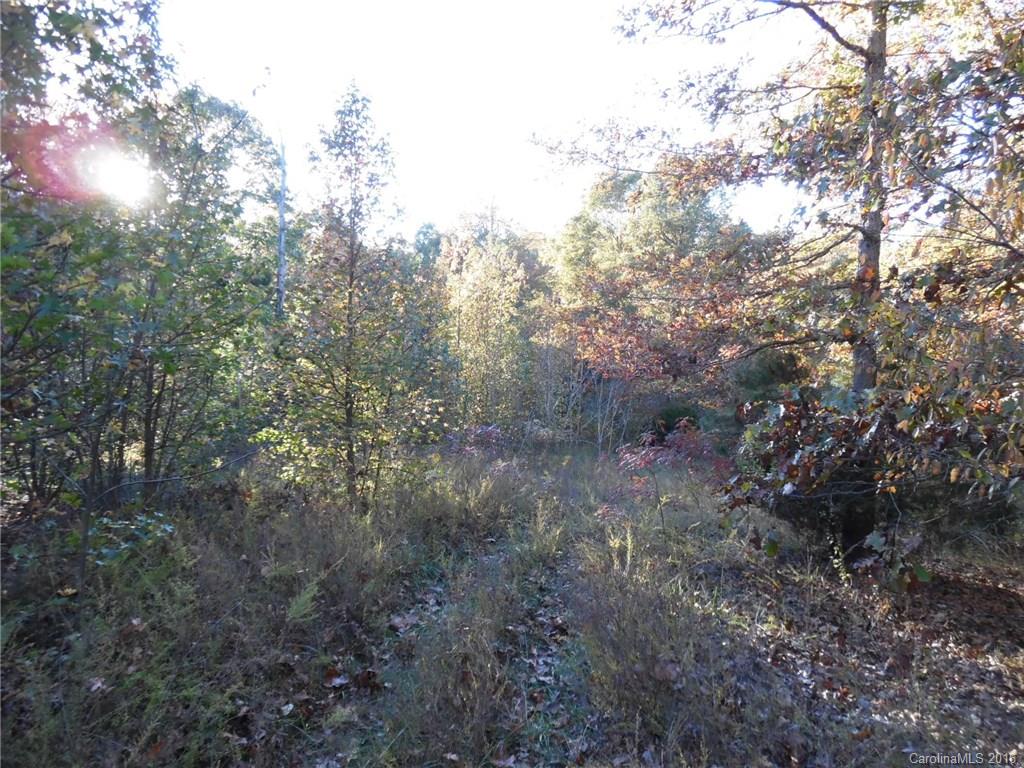 Lot 34 Valley Farm Road Waxhaw, NC 28173 - Photo 1 of 5 Gallery Image 1