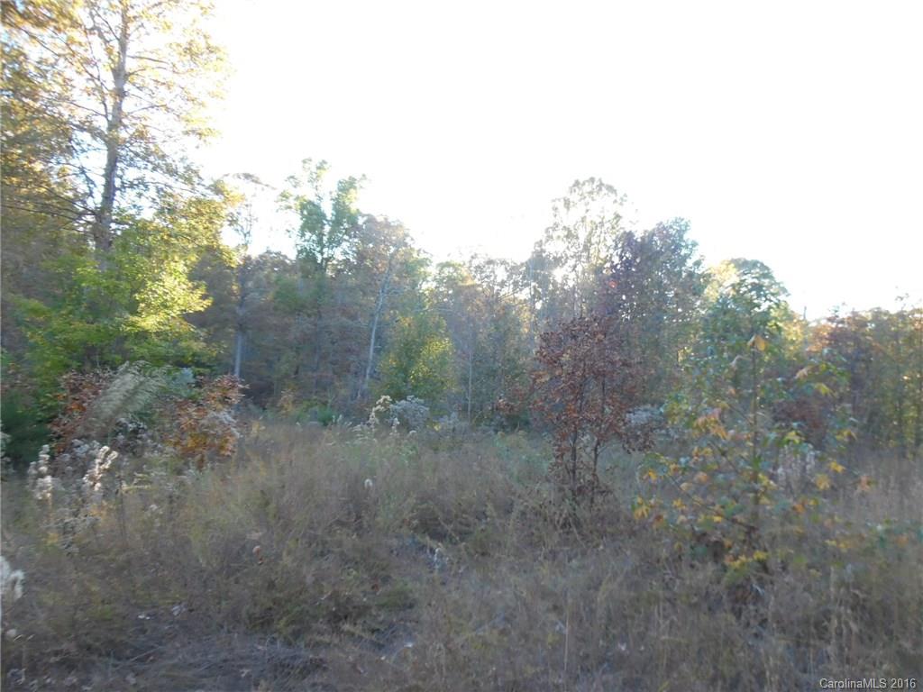 Lot 34 Valley Farm Road Waxhaw, NC 28173 - Photo 2 of 5 Gallery Image 2