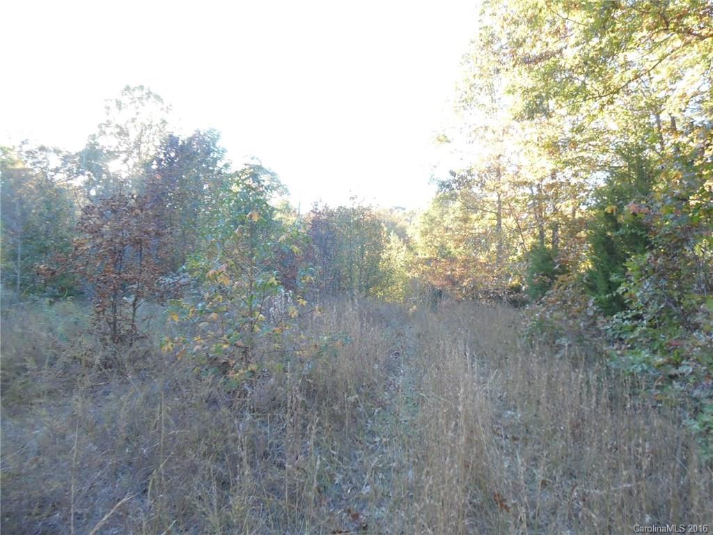 Lot 34 Valley Farm Road Waxhaw, NC 28173 - Photo 3 of 5 Gallery Image 3