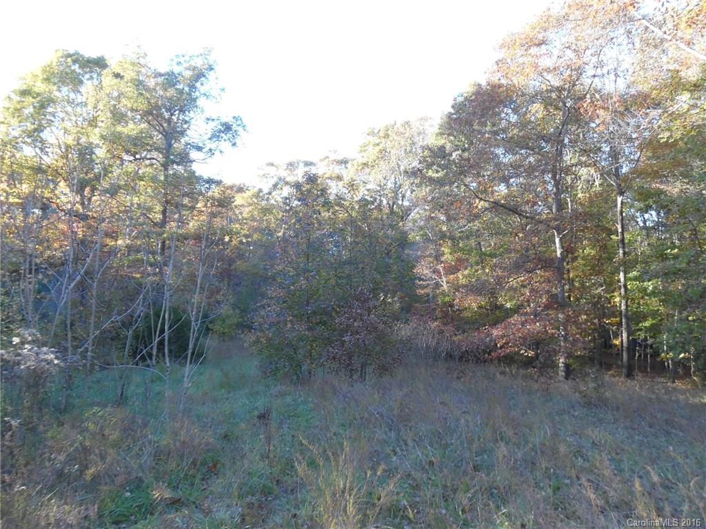 Lot 34 Valley Farm Road Waxhaw, NC 28173 - Photo 5 of 5 Gallery Image 5