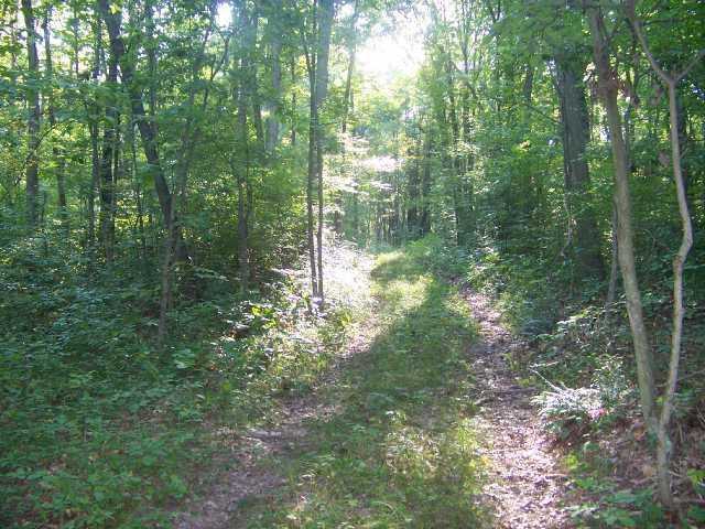 0 McCament Road Walhonding, OH 43843 - Photo 3 of 7