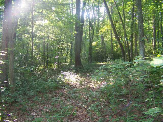 0 McCament Road Walhonding, OH 43843 - Photo 4 of 7
