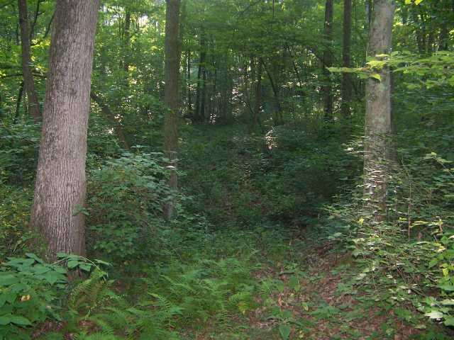 0 McCament Road Walhonding, OH 43843 - Photo 5 of 7