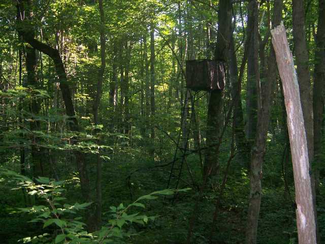 0 McCament Road Walhonding, OH 43843 - Photo 6 of 7