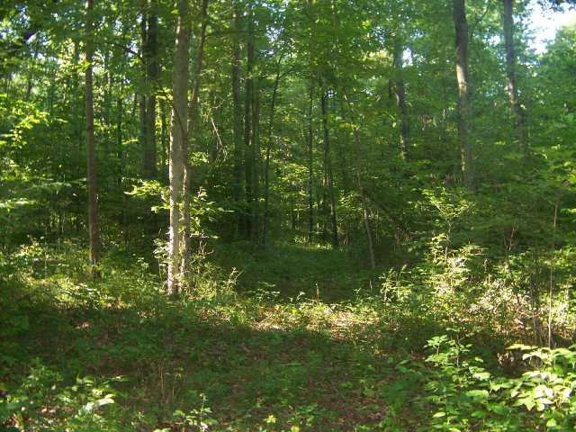 0 McCament Road Walhonding, OH 43843 - Photo 7 of 7