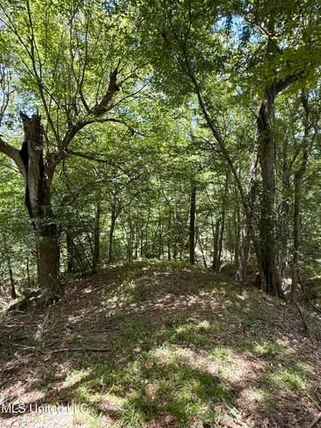 $575,000 | 7735 Old Tunica Road, St. Francisville, LA 70775