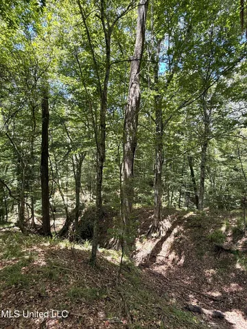 $575,000 | 7735 Old Tunica Road, St. Francisville, LA 70775