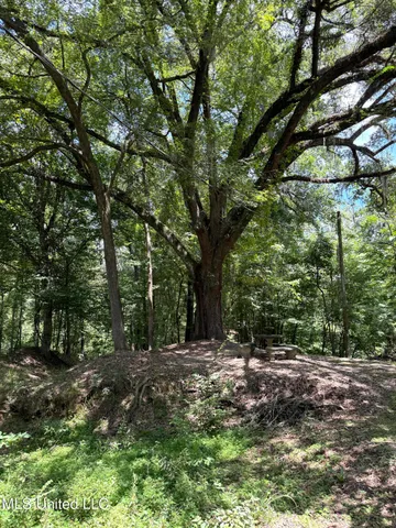 $575,000 | 7735 Old Tunica Road, St. Francisville, LA 70775