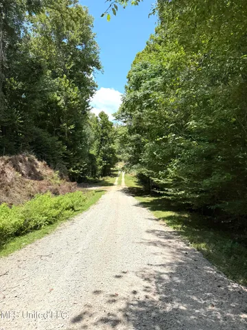 $575,000 | 7735 Old Tunica Road, St. Francisville, LA 70775