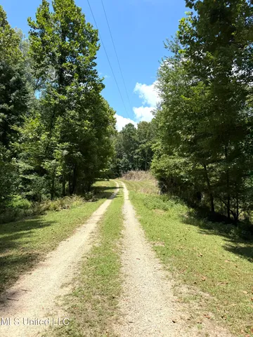 $575,000 | 7735 Old Tunica Road, St. Francisville, LA 70775