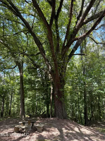 $575,000 | 7735 Old Tunica Road, St. Francisville, LA 70775