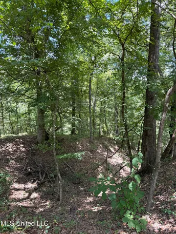 $575,000 | 7735 Old Tunica Road, St. Francisville, LA 70775