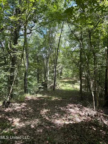 $575,000 | 7735 Old Tunica Road, St. Francisville, LA 70775