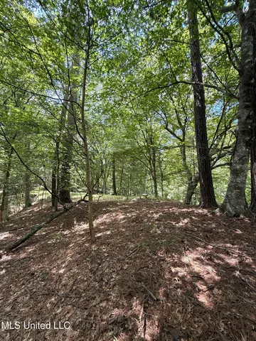 $575,000 | 7735 Old Tunica Road, St. Francisville, LA 70775