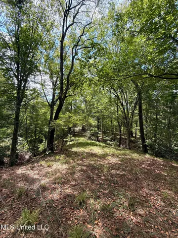 $575,000 | 7735 Old Tunica Road, St. Francisville, LA 70775