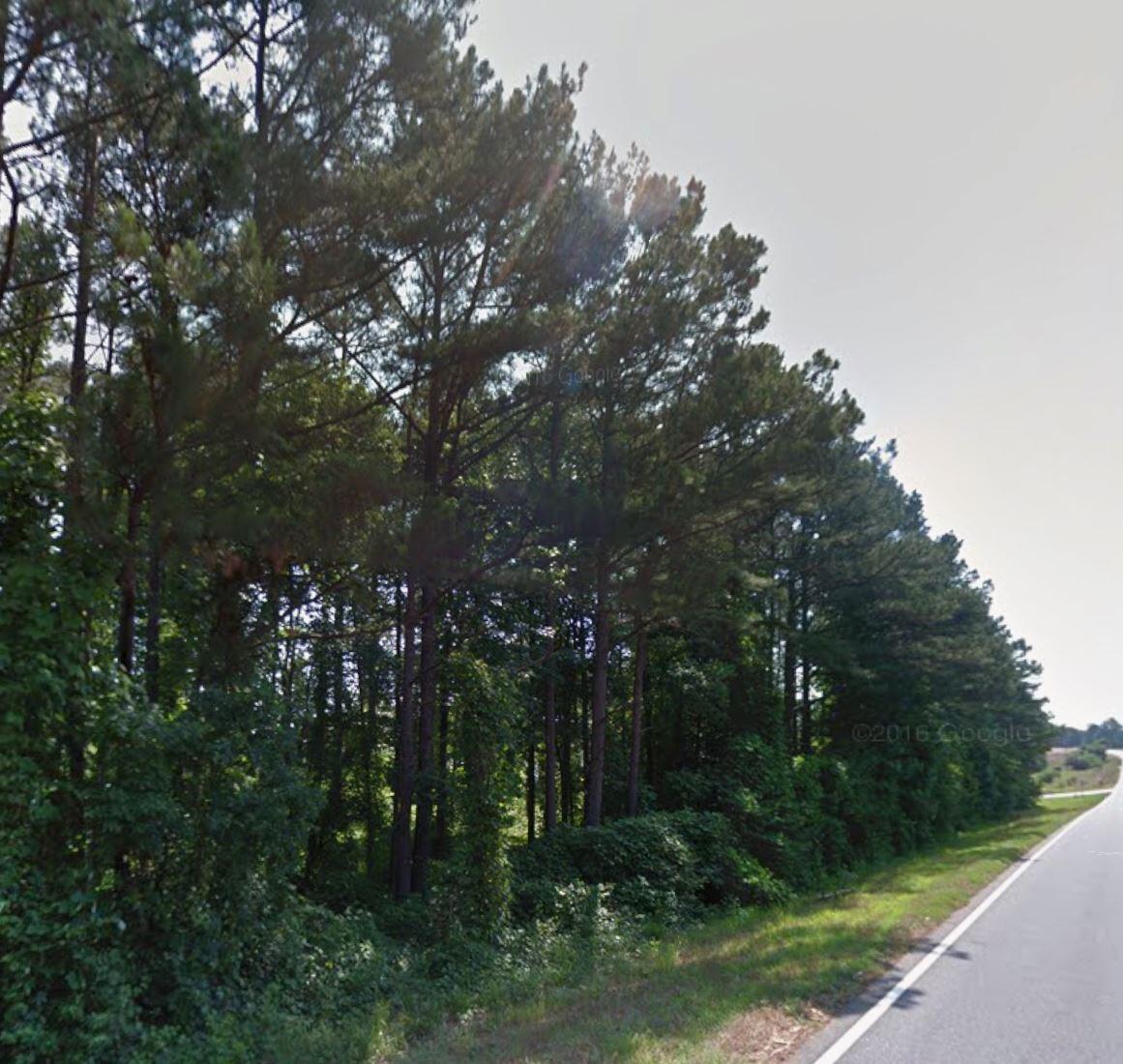 0 John Henry Circle Roopville, GA 30170 - Photo 6 of 9 john henry cir st view pic 4