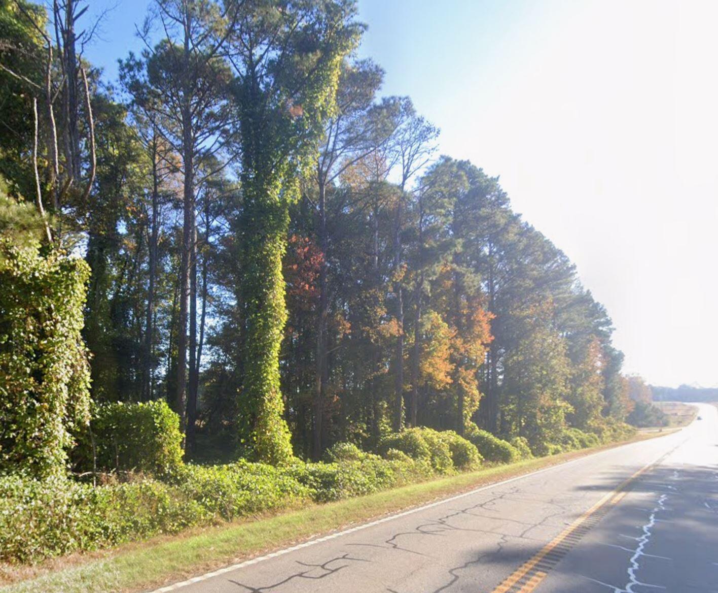 0 John Henry Circle Roopville, GA 30170 - Photo 7 of 9 john henry cir st view pic 3