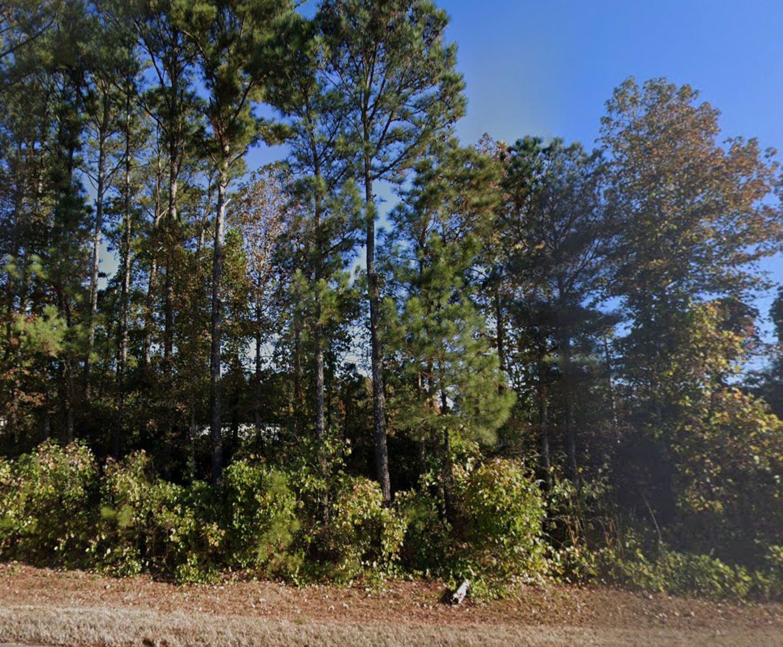 0 John Henry Circle Roopville, GA 30170 - Photo 8 of 9 john henry cir st view pic 2