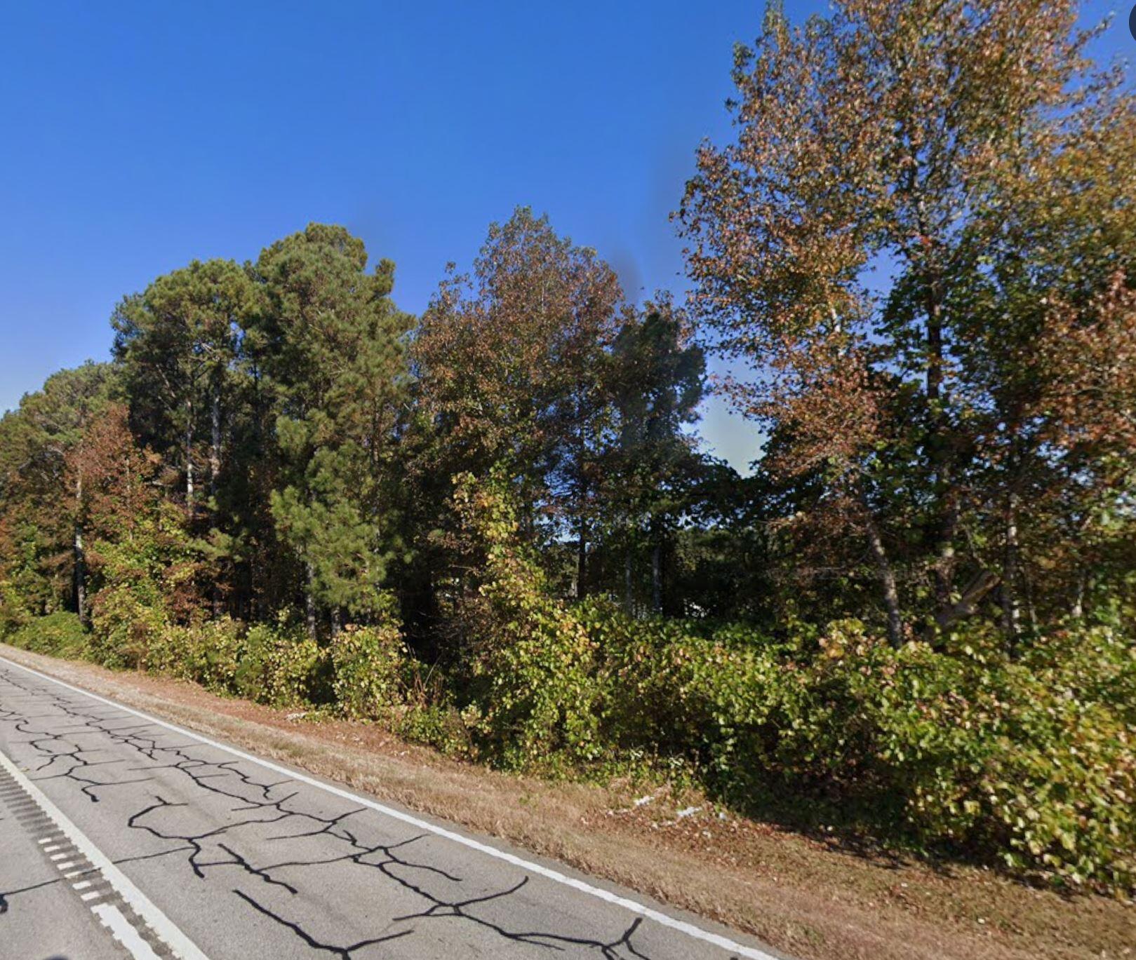 0 John Henry Circle Roopville, GA 30170 - Photo 9 of 9 john henry cir st view pic 1