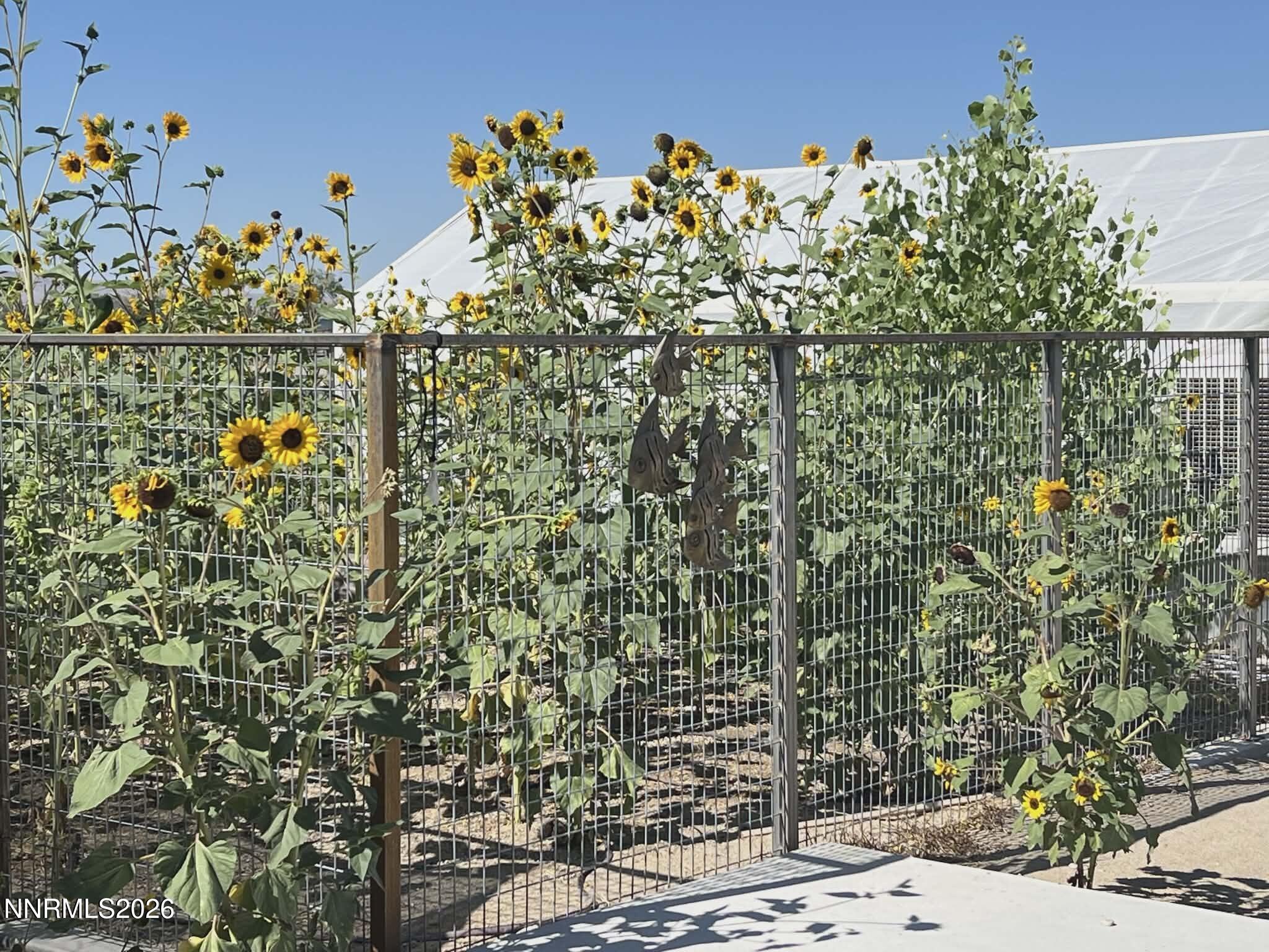 1197 Sky Ridge Drive Fallon, NV 89406 - Photo 35 of 70 d1eb7451-3a6c-41b7-b1bb-a7b109701df0