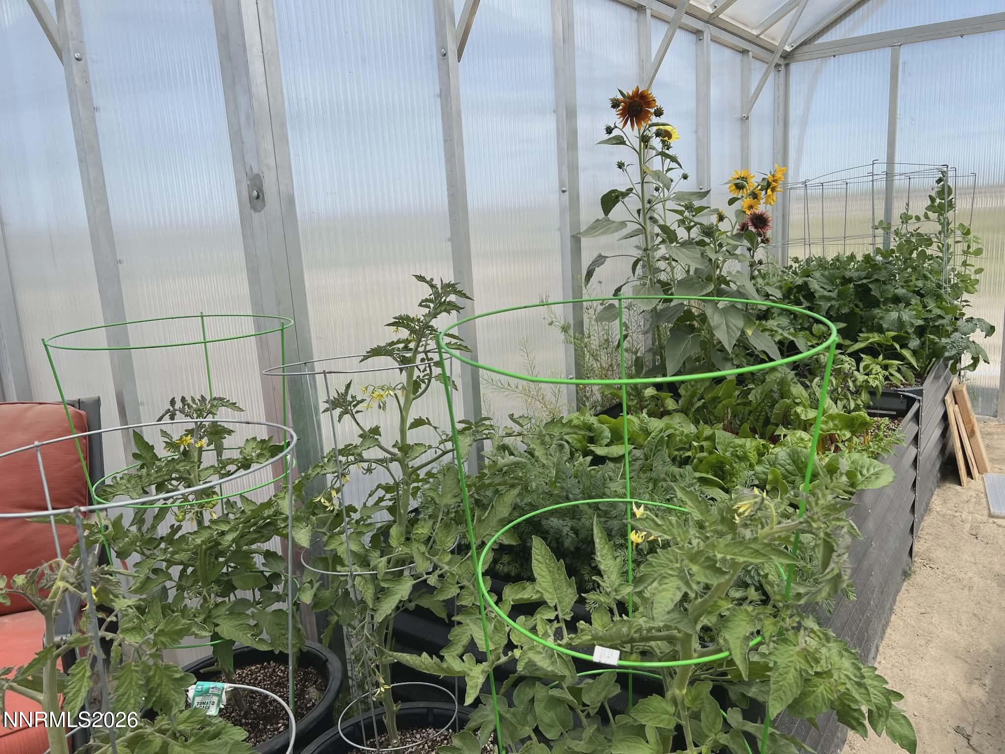 1197 Sky Ridge Drive Fallon, NV 89406 - Photo 36 of 70 720338ef-fa12-4db0-ad44-b17a3386cdc7