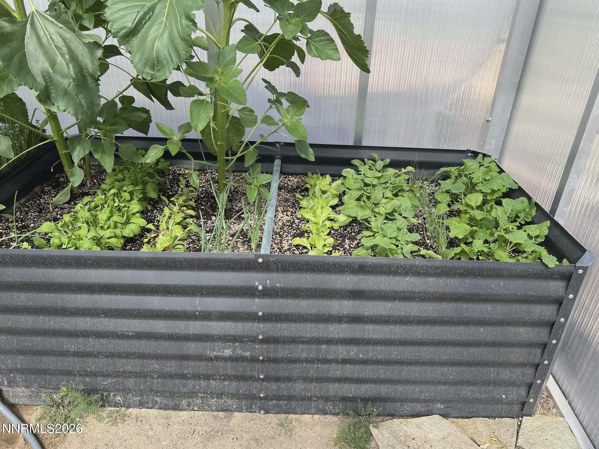 1197 Sky Ridge Drive Fallon, NV 89406 - Photo 40 of 70 398cfdf7-e9e4-464b-8d2a-869f6cc50b0e