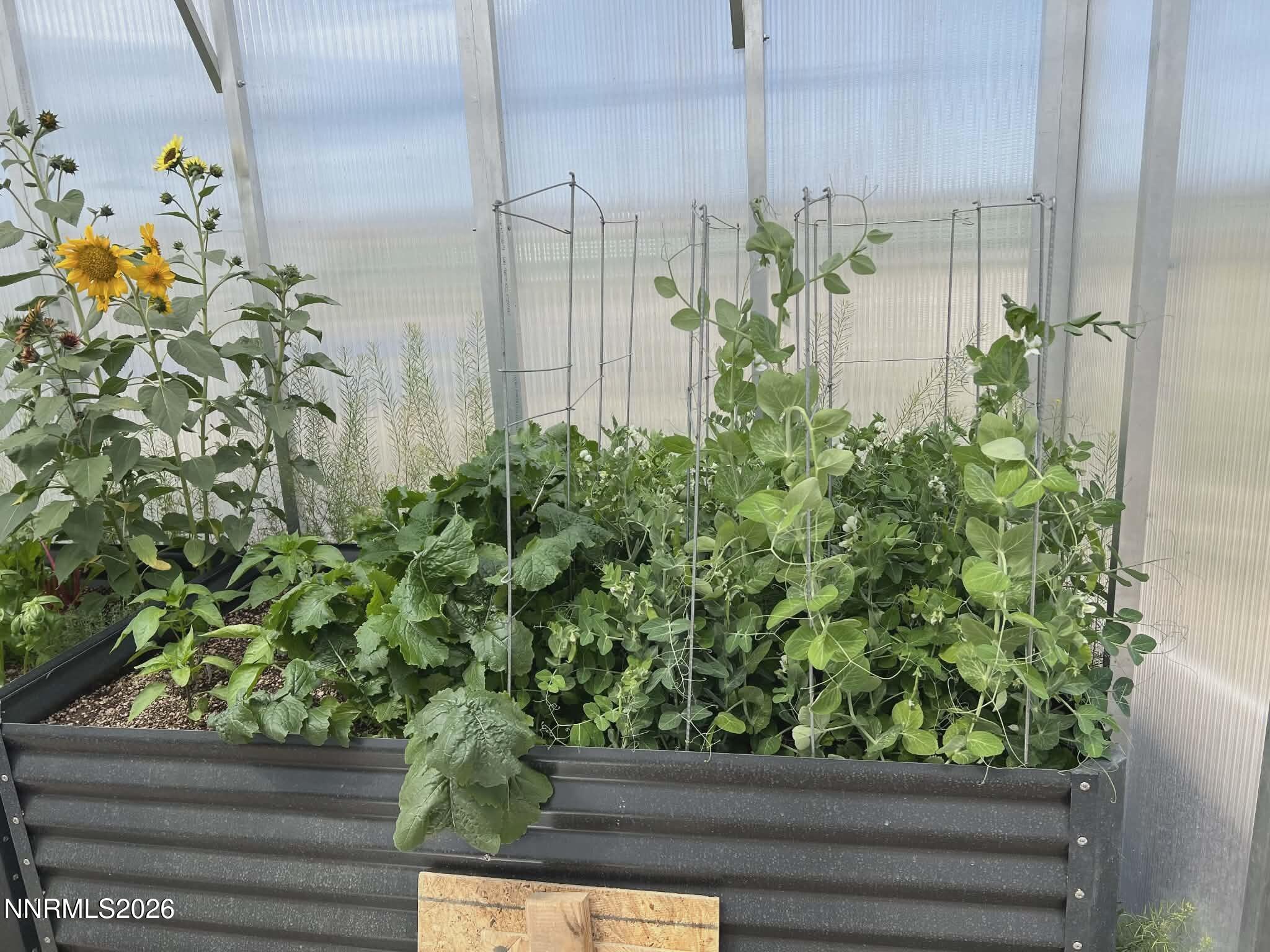 1197 Sky Ridge Drive Fallon, NV 89406 - Photo 43 of 70 ee9c69a2-d2e7-47e0-82ba-93b1bf29a4b2