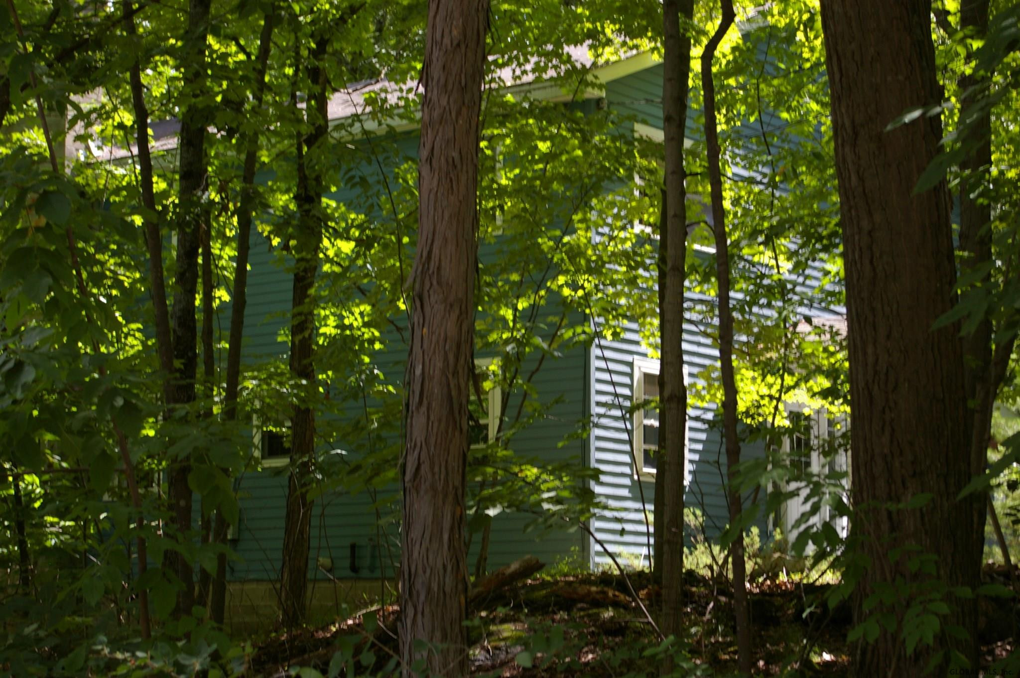 1864 Pilot Knob Road Kattskill Bay, NY 12844 - Photo 5 of 23 Photo 5