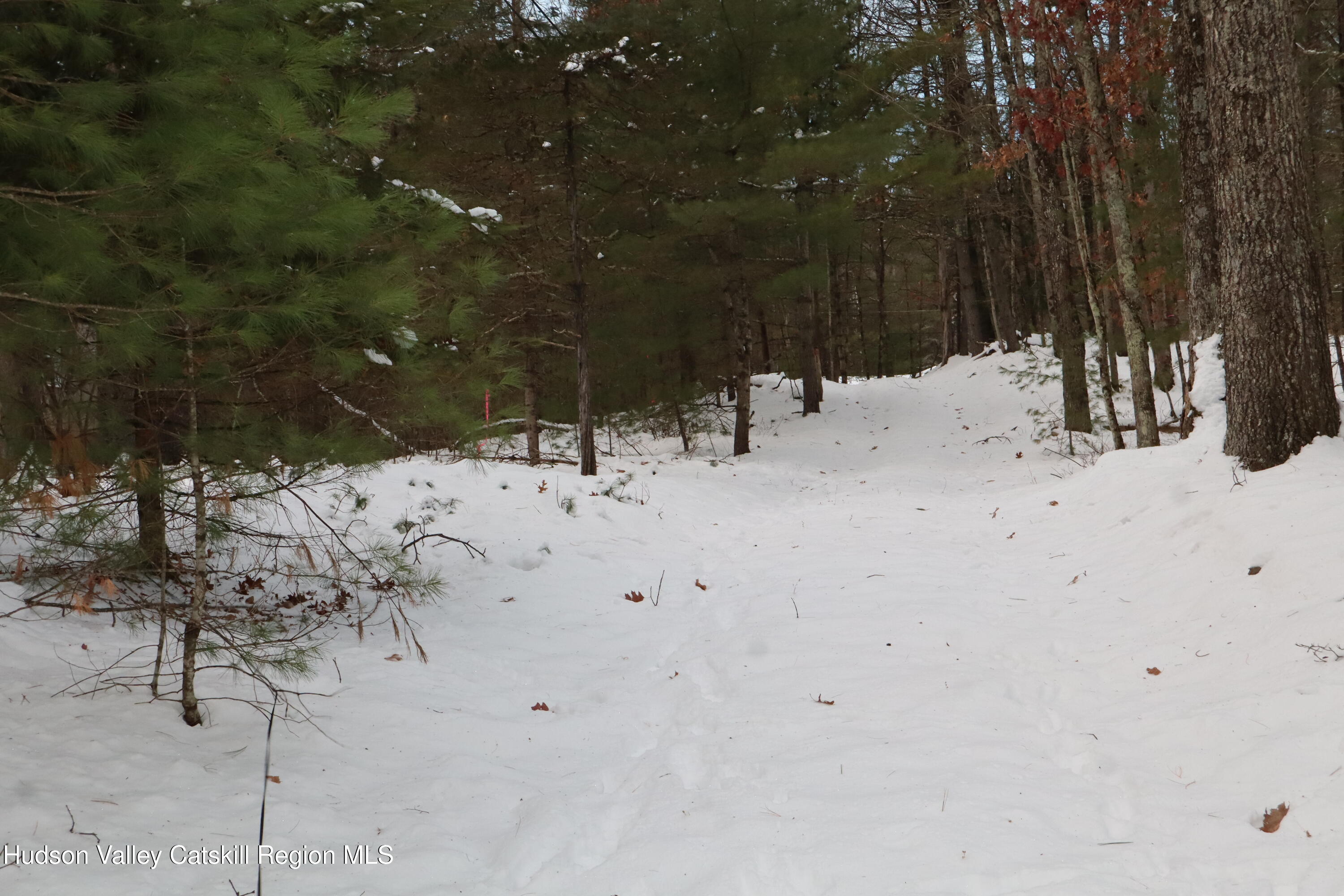 48 Pine Grove Road, Unit PRIVATE Kerhonkson, NY 12446 - Photo 11 of 38 IMG_2331