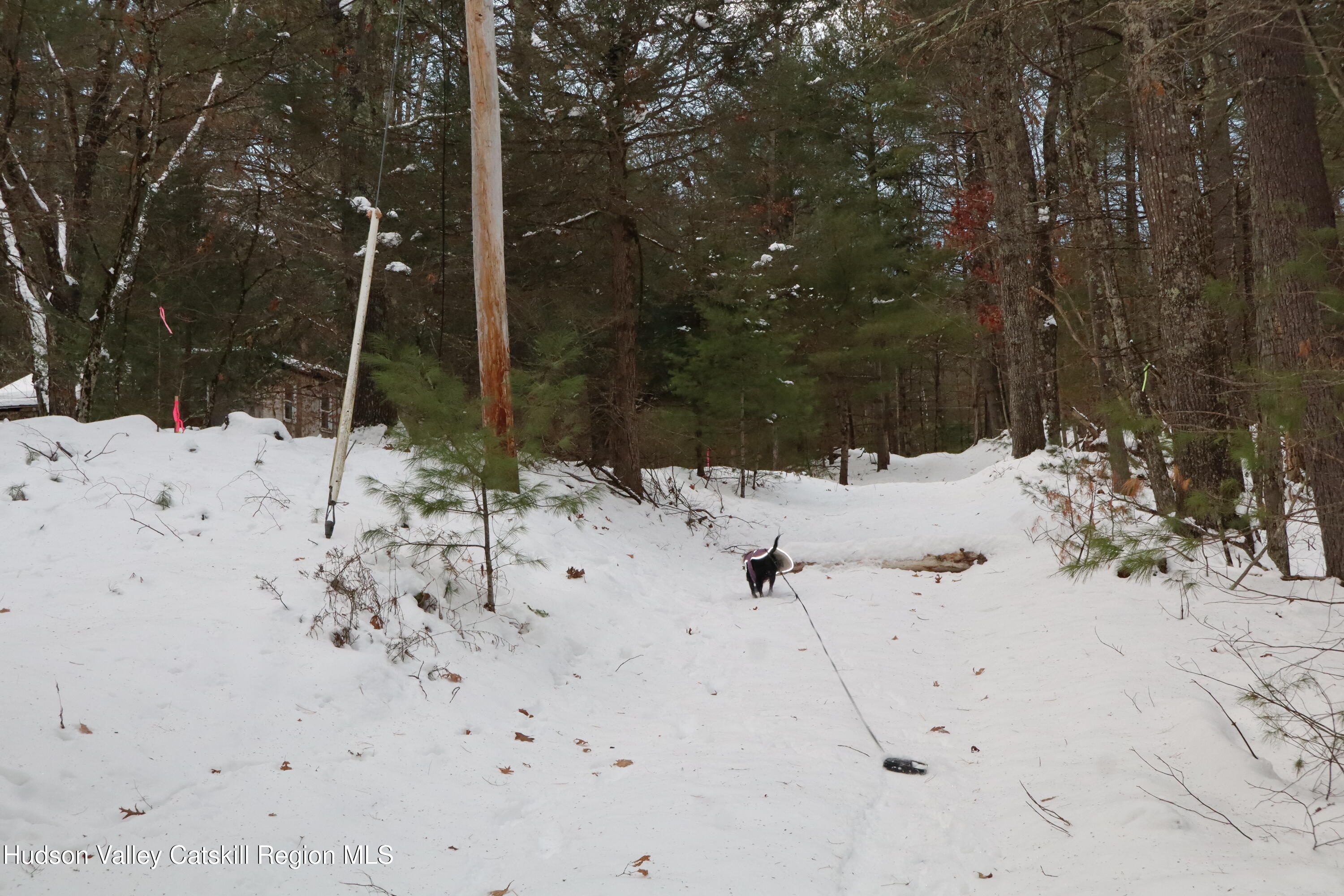 48 Pine Grove Road, Unit PRIVATE Kerhonkson, NY 12446 - Photo 12 of 38 IMG_2330