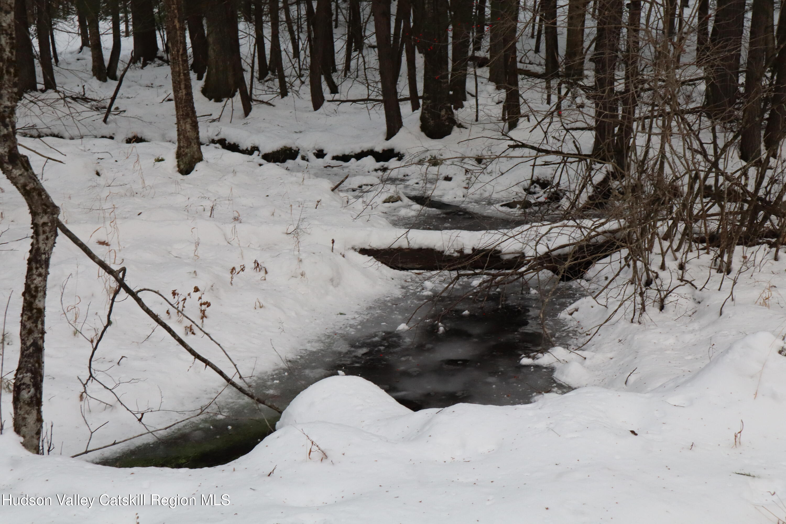 48 Pine Grove Road, Unit PRIVATE Kerhonkson, NY 12446 - Photo 13 of 38 IMG_2327