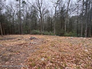 48 Pine Grove Road, Unit PRIVATE Kerhonkson, NY 12446 - Photo 2 of 38 IMG_0942