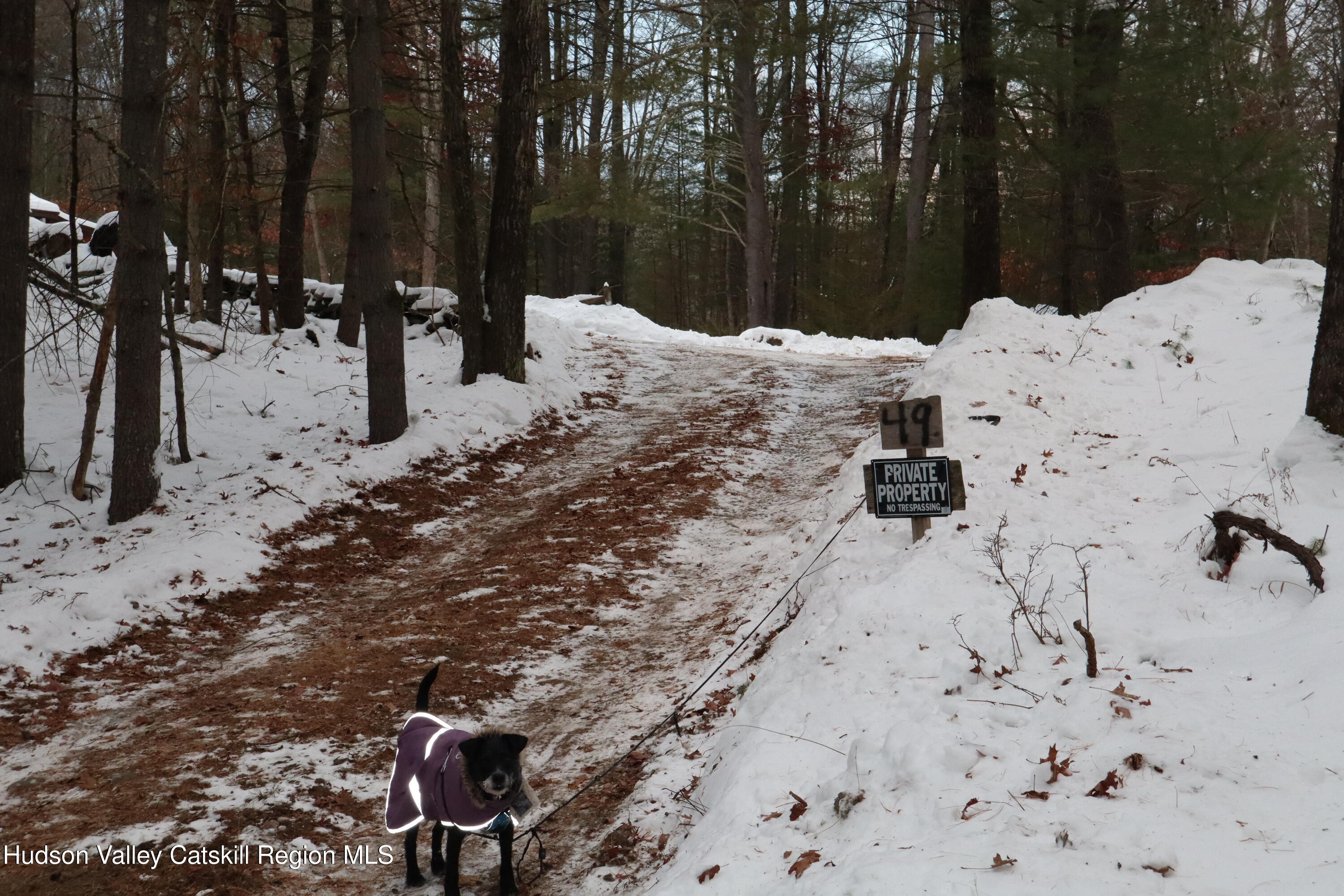 48 Pine Grove Road, Unit PRIVATE Kerhonkson, NY 12446 - Photo 22 of 38 IMG_2337