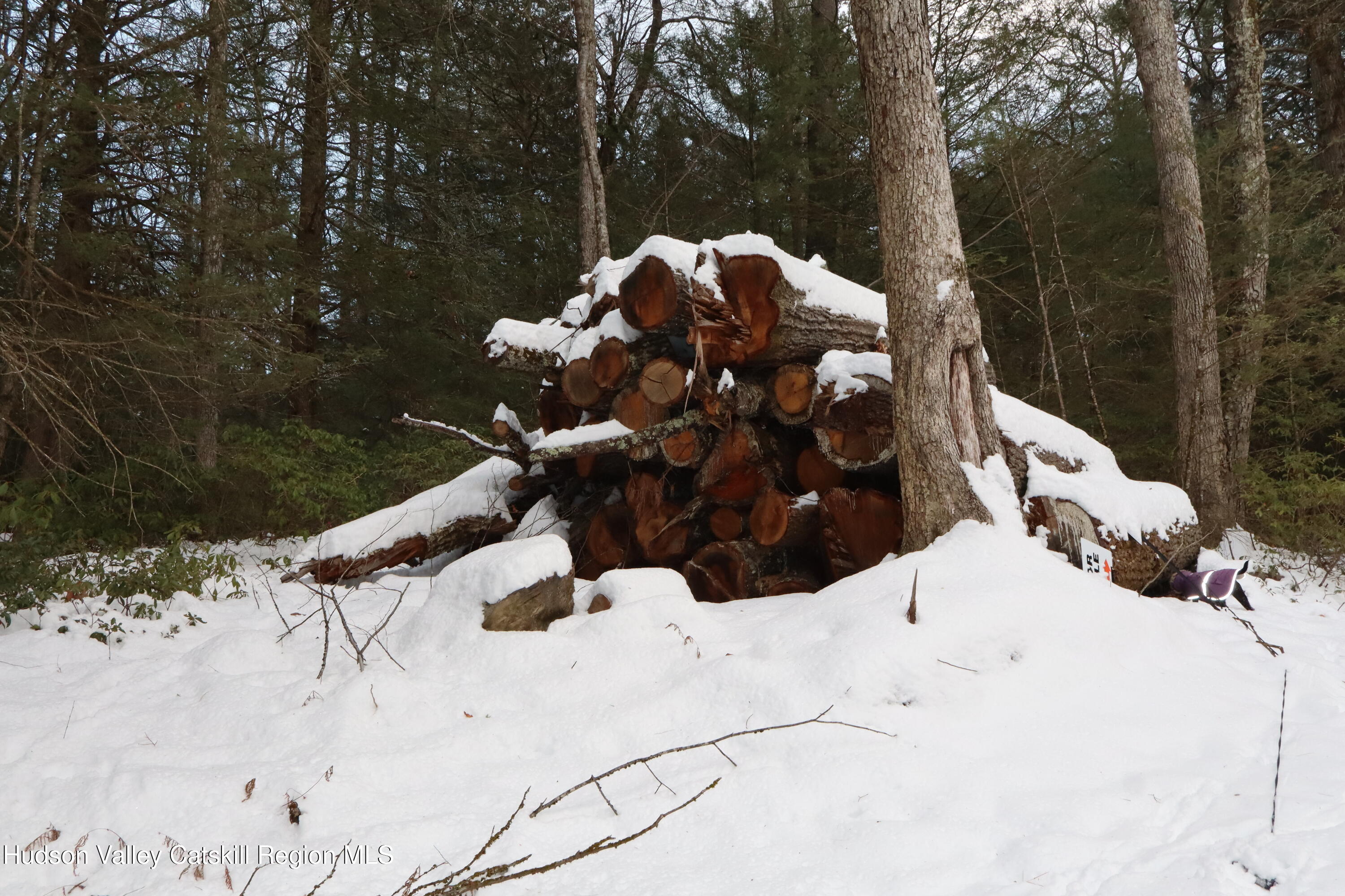 48 Pine Grove Road, Unit PRIVATE Kerhonkson, NY 12446 - Photo 23 of 38 IMG_2318