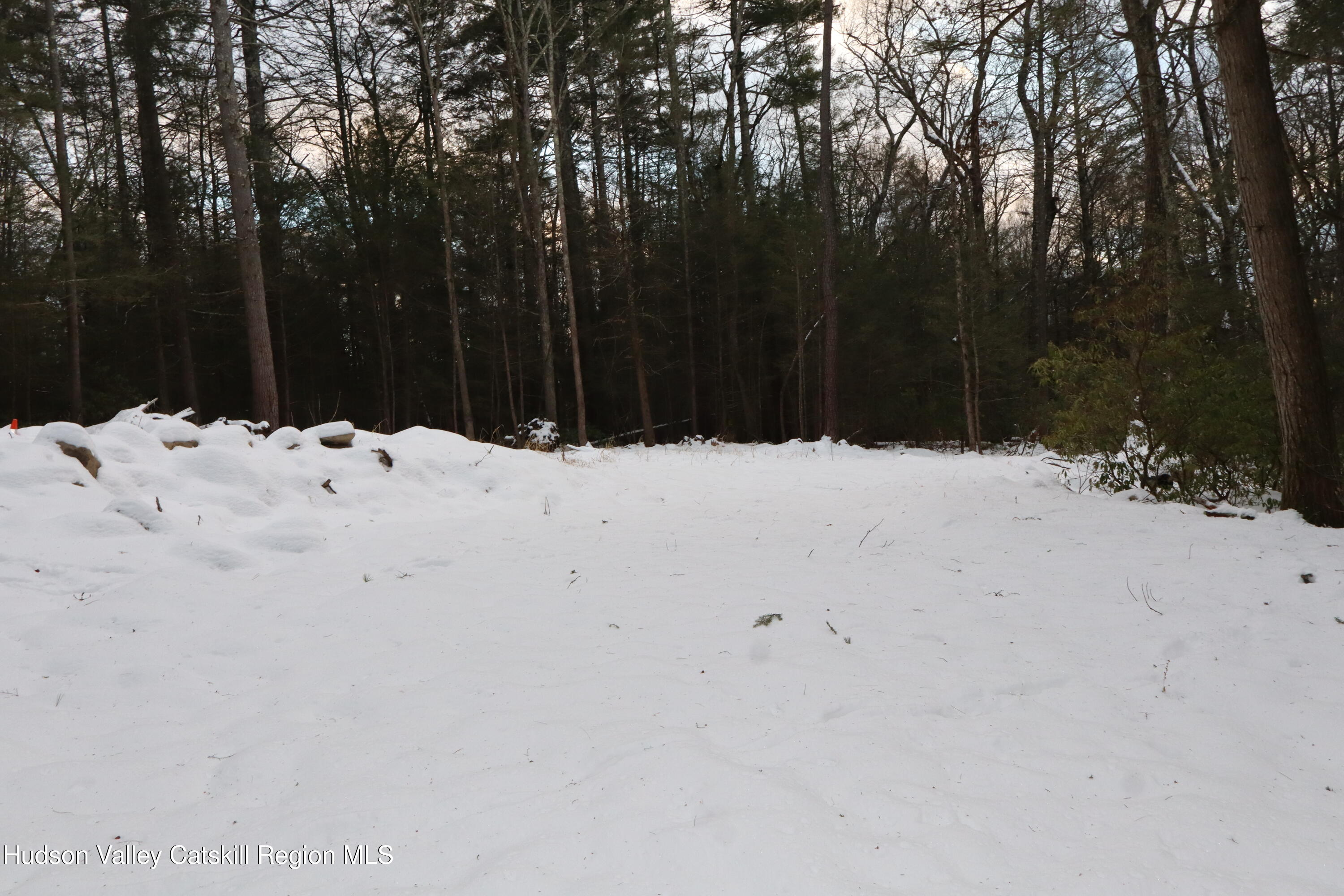 48 Pine Grove Road, Unit PRIVATE Kerhonkson, NY 12446 - Photo 24 of 38 IMG_2317