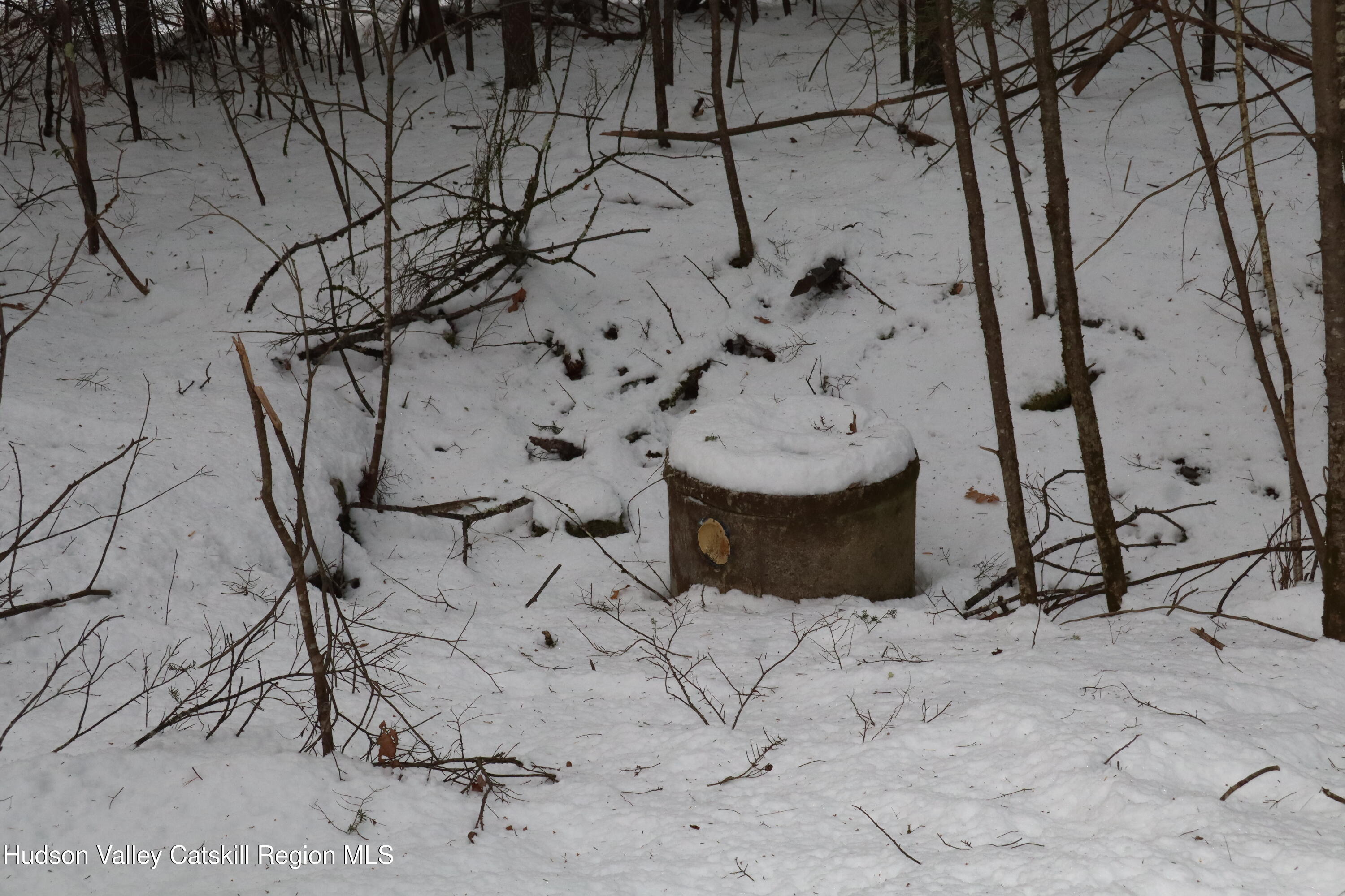 48 Pine Grove Road, Unit PRIVATE Kerhonkson, NY 12446 - Photo 25 of 38 IMG_2316 - Copy