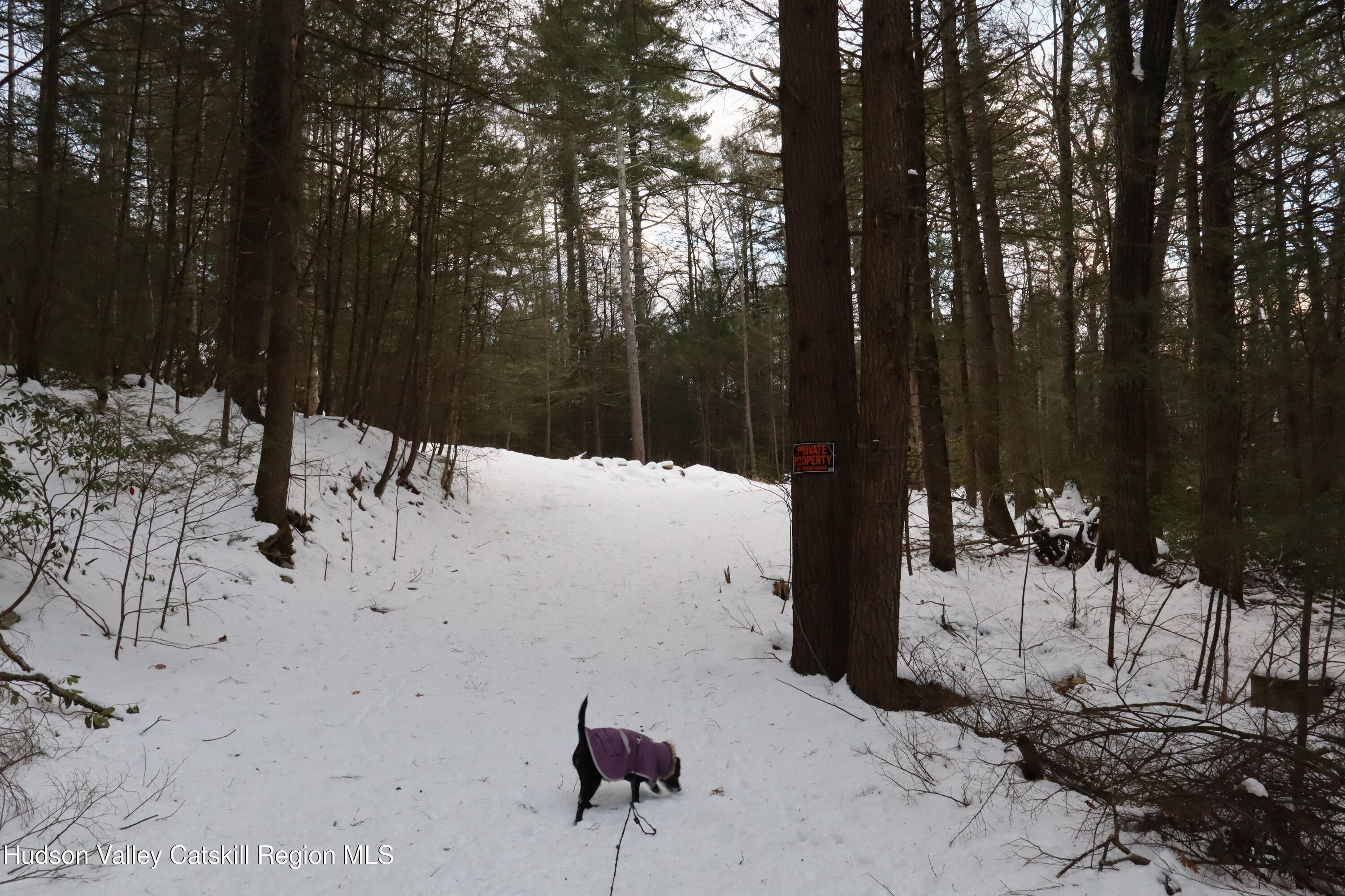 48 Pine Grove Road, Unit PRIVATE Kerhonkson, NY 12446 - Photo 28 of 38 IMG_2312 - Copy