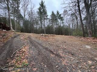 48 Pine Grove Road, Unit PRIVATE Kerhonkson, NY 12446 - Photo 30 of 38 IMG_0953