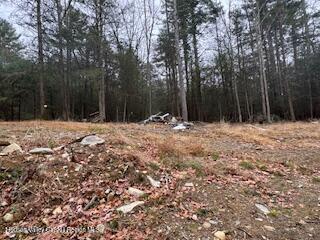 48 Pine Grove Road, Unit PRIVATE Kerhonkson, NY 12446 - Photo 3 of 38 IMG_0941