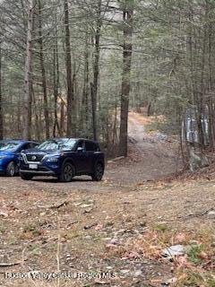 48 Pine Grove Road, Unit PRIVATE Kerhonkson, NY 12446 - Photo 32 of 38 IMG_0947