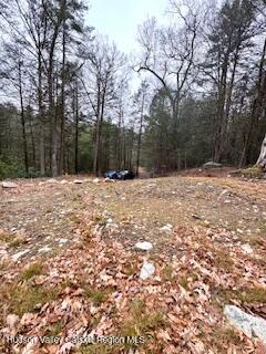 48 Pine Grove Road, Unit PRIVATE Kerhonkson, NY 12446 - Photo 33 of 38 IMG_0946