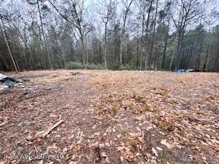 48 Pine Grove Road, Unit PRIVATE Kerhonkson, NY 12446 - Photo 34 of 38 IMG_0945