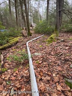 48 Pine Grove Road, Unit PRIVATE Kerhonkson, NY 12446 - Photo 35 of 38 IMG_0939