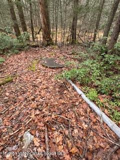 48 Pine Grove Road, Unit PRIVATE Kerhonkson, NY 12446 - Photo 36 of 38 IMG_0937