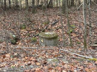 48 Pine Grove Road, Unit PRIVATE Kerhonkson, NY 12446 - Photo 37 of 38 IMG_0934