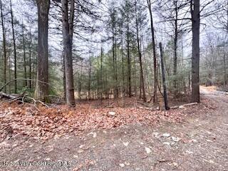 48 Pine Grove Road, Unit PRIVATE Kerhonkson, NY 12446 - Photo 38 of 38 FullSizeRender (1)