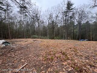 48 Pine Grove Road, Unit PRIVATE Kerhonkson, NY 12446 - Photo 5 of 38 IMG_0944