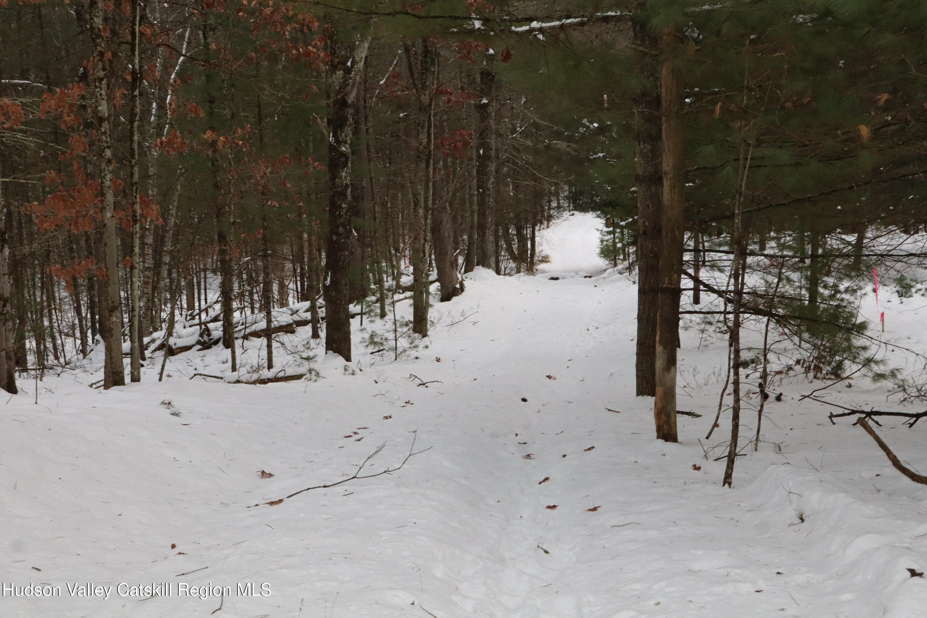 48 Pine Grove Road, Unit PRIVATE Kerhonkson, NY 12446 - Photo 6 of 38 IMG_2334