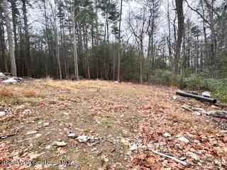 48 Pine Grove Road, Unit PRIVATE Kerhonkson, NY 12446 - Photo 8 of 38 IMG_0940